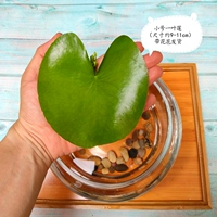 Отправить кусок одного куска-всего 2 штук в общей сложности