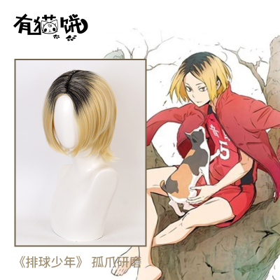 taobao agent Lonely claw grinding COS wigs with cat cake volleyball youth anime