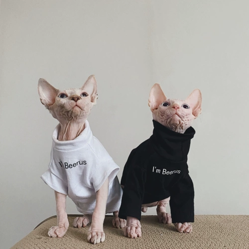 Хлопковая демисезонная оригинальная брендовая минималистичная футболка для влюбленных