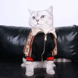 Весенняя тонкая толстовка, милый осенний удерживающий тепло шнурок-держатель, популярно в интернете