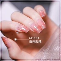 [蔷薇荆棘SH584]