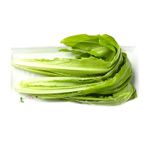 [精选油麦菜400克]