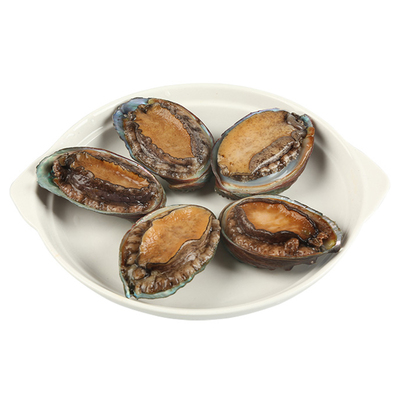 [（鲜活）小鲍鱼5只/组 （8-10头/500g）]