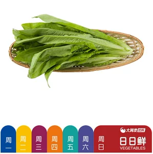 [日日鲜油麦菜300g/袋]