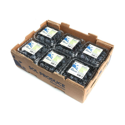 Чилийская черника 12 коробок по 1,5кг (подарочная коробка)
