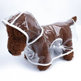 Собака дождливый сладкий ди -медведь медведь кедр