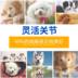 Wisconsin kem khớp nhanh Pet khớp tinh thần mèo viêm khớp đau sản phẩm sức khỏe chó - Cat / Dog Health bổ sung sữa cho chó bị bệnh Cat / Dog Health bổ sung