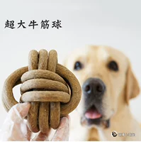 Quá khổ thịt bò gân mol snack Labrador vàng viền chăn nuôi cắn kháng để chơi chó nhai bổ sung canxi ngoài hơi thở hôi thức ăn của chó