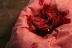 Hanfu Cổ Điển Rose Petals Lỏng Blush Rouge Nước Cắn Lip Trang Điểm Môi Lỏng Không Có Trang Điểm Remover Không Dính Cốc Son Môi