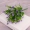 Mô phỏng cây dương xỉ Ba Tư cỏ nền tường vật liệu nhựa hoa giả xanh cây xanh ngoại thất tường trang trí đám cưới - Hoa nhân tạo / Cây / Trái cây