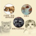 Mèo mũi lysine Mèo Meade với bột mũi hắt hơi lạnh điên cuồng mèo amoniac mũi mèo - Cat / Dog Health bổ sung sữa cho mèo bệnh Cat / Dog Health bổ sung