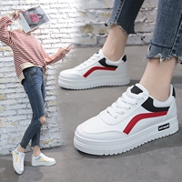 Черный красный 503