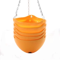 5 Притворяйся апельсином