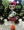 Đồ chơi chính hãng Rừng Elf Little Monster High Doll Pet Little Deer Giống - Búp bê / Phụ kiện