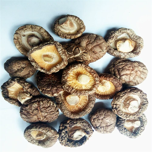 Shennongjian Wild Manohon Shiita Mushroom Sweet Mushroom маленькие грибы маленькие грибы сухой бесплатная доставка