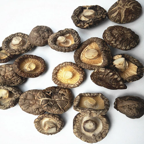 Shennongjian Wild Manohon Shiita Mushroom Sweet Mushroom маленькие грибы маленькие грибы сухой бесплатная доставка
