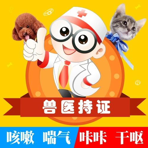 爱纳它 Домашние животные, собаки, лекарства, кошки и собаки, пневмония, насморк, золотистый ретривер Тедди, простуда, кашель, одышка, астма.