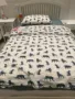 IKEA trong nước mua chăn và vỏ gối Yulskog Tiger Blue 150x200 50x80cm - Quilt Covers vỏ chăn cotton