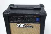 Tang âm thanh 10 Wát nhạc cụ loa dân gian acoustic guitar loa guitar điện loa với biến dạng GM-2100