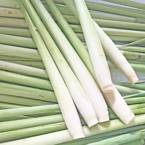6 оборудованный свежий лемонграсс Хлопок, цитрон, лимонная трава Lemongrass Tea