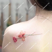 NMZ hình xăm nhỏ tươi dán không thấm nước nữ kéo dài phiên bản Hàn Quốc gợi cảm của mô phỏng hoa dán cơ thể