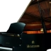 Đàn piano lớn Haiziman 148A thương hiệu đàn piano trắng mới chơi trong nước đàn piano thương hiệu đàn piano Xinghai