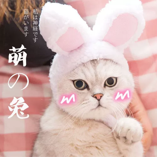 Милый шлем, шапка, рождественский кролик, аксессуар для волос, кот, лев, домашний питомец