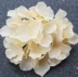 Hoa nhân tạo tường hoa đặc biệt hoa cẩm tú cầu đầu lớn hoa cẩm tú cầu đường kính lớn 12 cm hoa cẩm tú cầu - Hoa nhân tạo / Cây / Trái cây