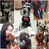 Веревка направления 伉 伉 Teddy Blade Type Dog Hoing Stock