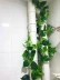 Mô phỏng mây xanh lá trang trí trong nhà phòng khách tường giả lá xanh cây nho cửa hàng cửa hàng hoa giả - Hoa nhân tạo / Cây / Trái cây