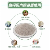 Породоводочный порошок кормления устриц с курицей кормления оболочки для кормления для кальциевых добавок голубей раковина. Опилкиваемое оболочка Песчаная оболочка корм