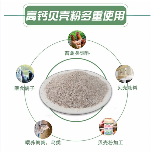 Породоводочный порошок кормления устриц с курицей кормления оболочки для кормления для кальциевых добавок голубей раковина. Опилкиваемое оболочка Песчаная оболочка корм