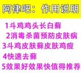 Лекарство для бойцового петуха, Алуба, бойцовый петух, мох, бойцовый петух, белый мох на голове петуха, соевое молоко, кожные заболевания, борьба с куриными прыщами, лекарство для борьбы с петушиным мхом