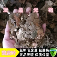 Китайский лекарственный материал желтый лист дикий желтый лист листья масла листья сливы.