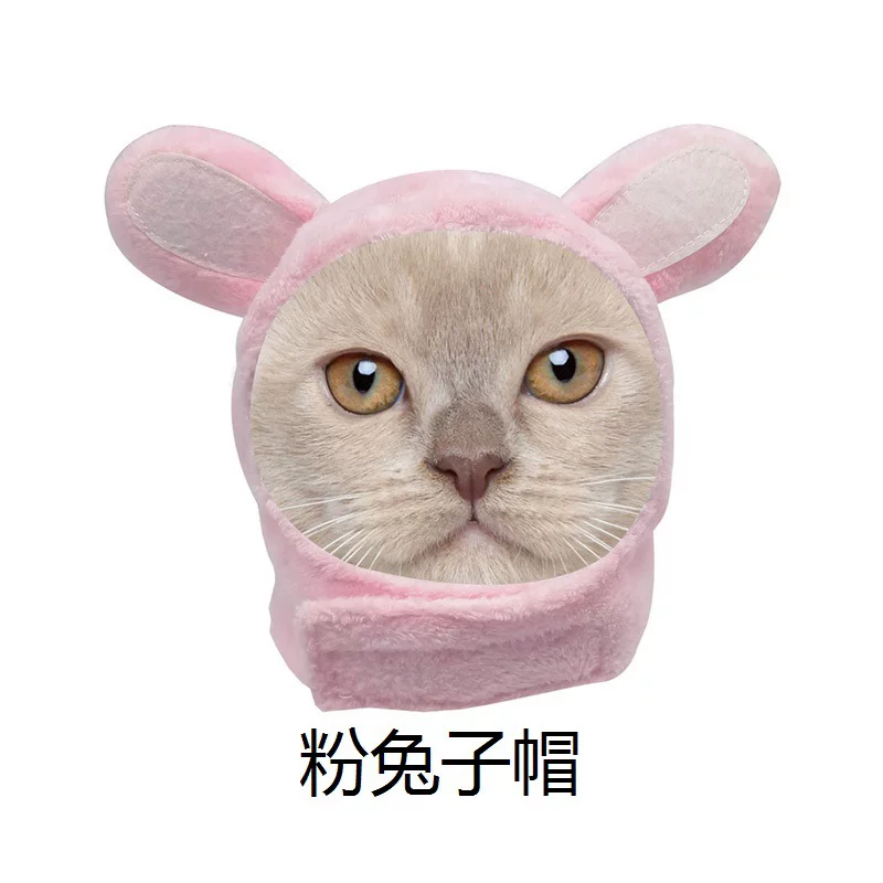 Waterproof hat, rabbit for bath, pet