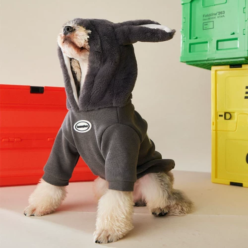 Демисезонный утепленный пуховик, удерживающая тепло милая осенняя толстовка, осенний сезон