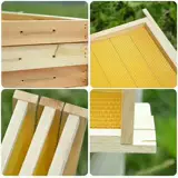 Высококачественная готовая рама гнезда установлена ​​в каркасе гнездового гнезда, Hive Sleen Honey Beehive специальная коробка для гнезда бесплатная доставка