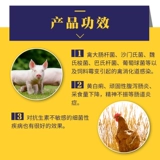 Цыпленка для лекарства от курицы энтероубренная птица птицы птицы птицы птицы -птицеводство птицы птицы -птицеводство с утки с уткой, лекарство из свинины, лечебное лекарство от птицы -птицеводство.