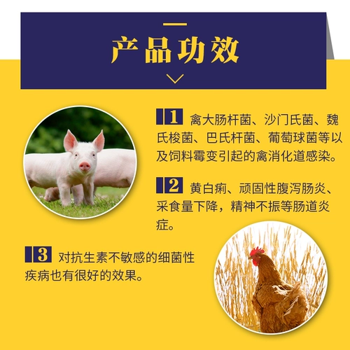 Цыпленка для лекарства от курицы энтероубренная птица птицы птицы птицы птицы -птицеводство птицы птицы -птицеводство с утки с уткой, лекарство из свинины, лечебное лекарство от птицы -птицеводство.