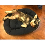 С прохладным сиденьем Ins Explosion Teddy Barry Small Dog Snowy, среднее гнездо для собачьего гнезда с собачьим гнездо