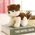 Xem mô tả chuông puppy đồ trang trí búp bê gối con búp bê nữ dog husky plush vải đồ chơi đồ chơi trẻ sơ sinh Đồ chơi mềm