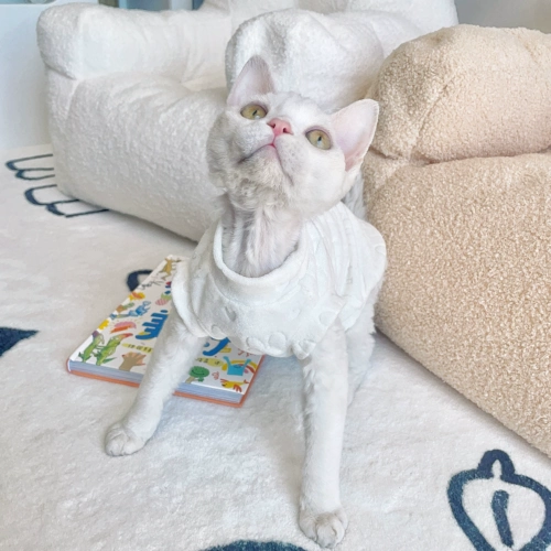 Tu Tufen Cat Mao Mao Win Cat Clothing Sphinx Cat Clothing мягкие полотенца нижние кроличи