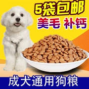 Con chó trưởng thành 500g số lượng lớn thức ăn cho chó Mei Mao Bông VIP Jin Mao Demu Tây Tạng Mastiff thức ăn cho chó 1 kg (giới hạn đến 5 kg)