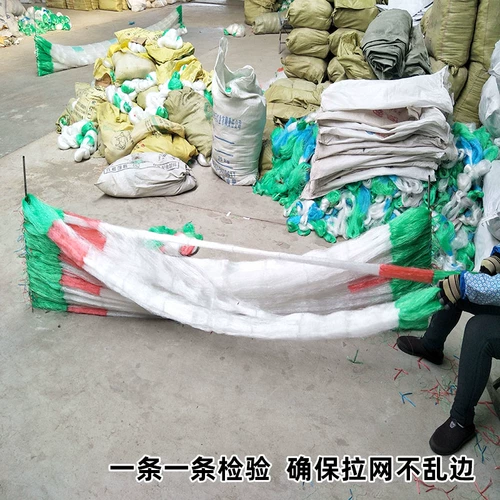 Бобовые рога огурцы горькая тыква растения поднимая виноградную сеть.