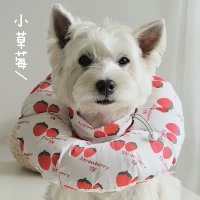 Маленькая клубника