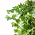 Cây mô phỏng cây củ cải xanh treo giỏ hoa mây lá nho cây thường xuân lá nhựa trang trí ban công cây xanh - Hoa nhân tạo / Cây / Trái cây cây hoa đào giả Hoa nhân tạo / Cây / Trái cây