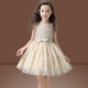 Cô gái công chúa váy trẻ em hoa cô gái váy piano biểu diễn váy pettiskirt mùa hè chủ nhà mùa hè 61 - Váy trẻ em