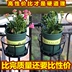 Ban công hoa giá sắt rèn hàng rào treo hoa chậu giá lan can treo thịt rung xanh cửa sổ màu xanh lá cây kệ hoa bonsai - Kệ Kệ