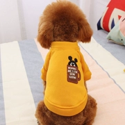 Teddy quần áo thú cưng mèo con chó con chó con chó con quần áo mùa xuân và mùa thu mỏng áo len mùa hè hơn gấu Bomei bulinois - Quần áo & phụ kiện thú cưng