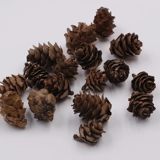 Мори Закка натуральный оллазм Songguo полные фрукты фрукты фрукты цветочные цветочные потоки цветочные потоки текут древний интернет -магазин